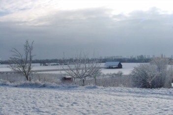  Kriegsheim: Erster Schnee des Winters 2009/2010 am 20091213 